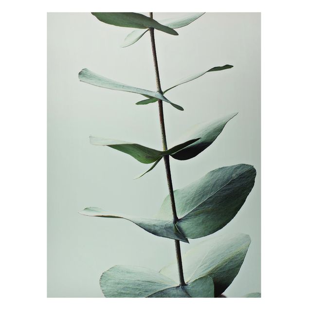 Magnettafel - Symmetrischer Eukalyptuszweig - Hochformat 3:4
