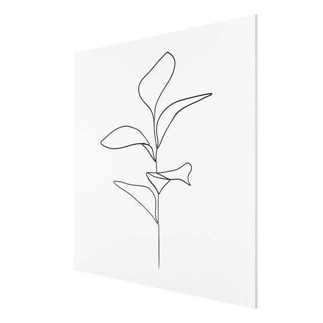 Forex Fine Art Print - Line Art Pflanze Blätter Schwarz Weiß - Quadrat 1:1