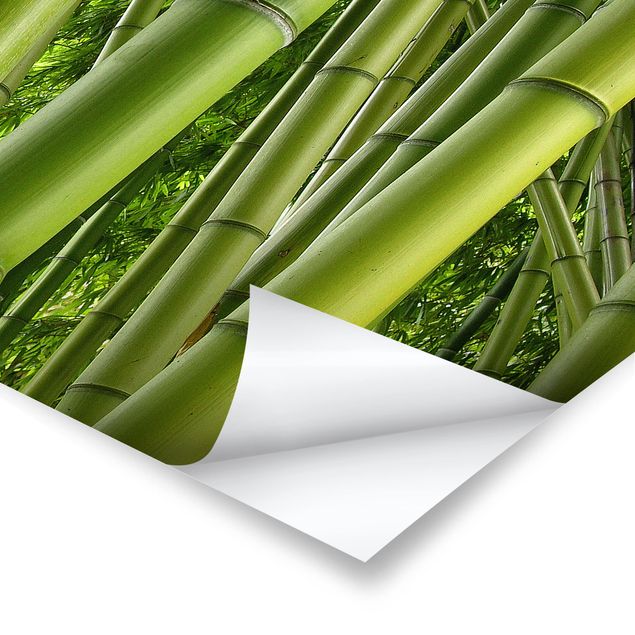 Poster - Bamboo Trees No.2 - Querformat 3:4