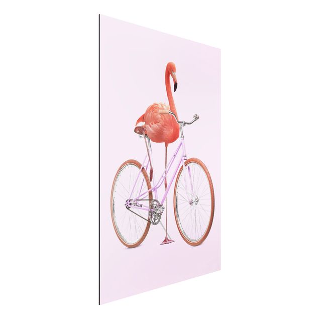 Jonas Loose Bilder Flamingo mit Fahrrad