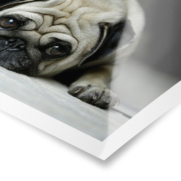 Poster - Pug Loves You - Querformat 2:3