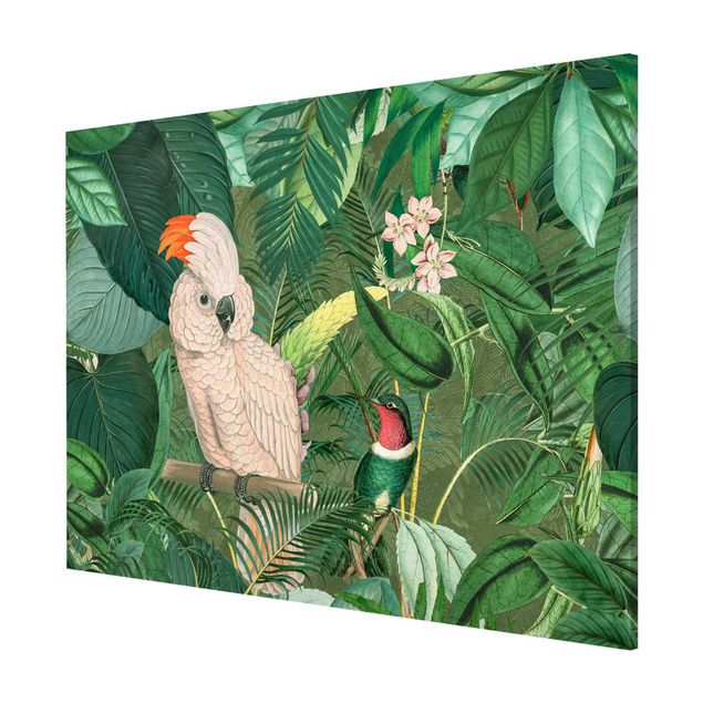 Magnettafel Motiv Vintage Collage - Kakadu und Kolibri