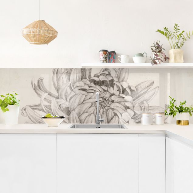 Küche Wandpaneel Botanische Studie Chrysantheme I
