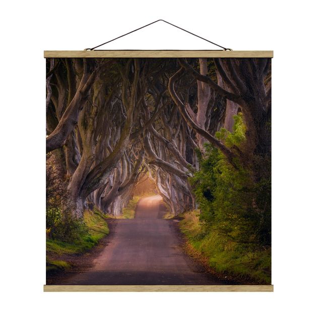 Stoffbild mit Posterleisten - Tunnel aus Bäumen - Quadrat 1:1