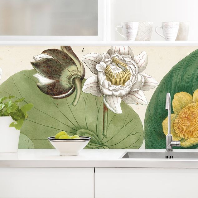 Platte Küchenrückwand Vintage Illustration Weiße Wasserlilie
