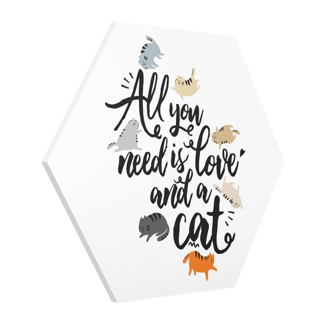 Hexagon Bild Forex - All you need is love and a cat