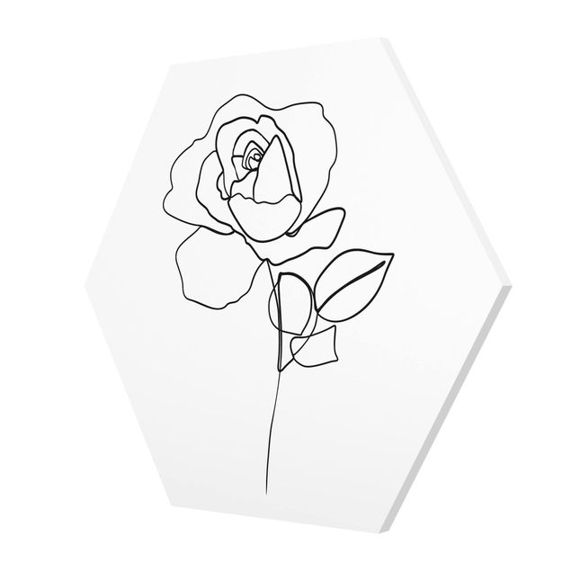 Hexagon Bild Forex - Line Art Rose Schwarz Weiß