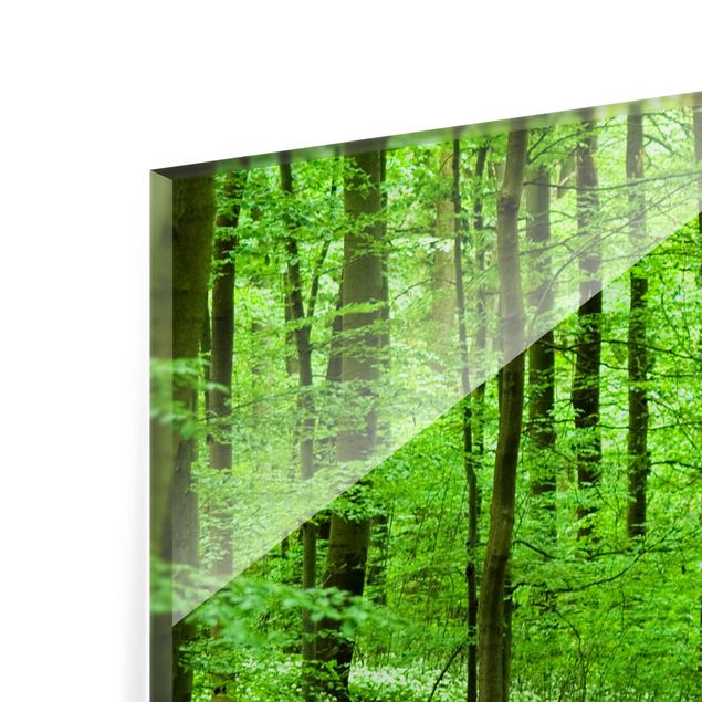 Glas Spritzschutz - Romantischer Waldweg - Querformat - 4:3