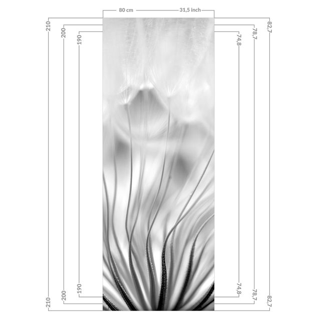 Duschrückwand - Traumhafte Pusteblume Schwarz-Weiß