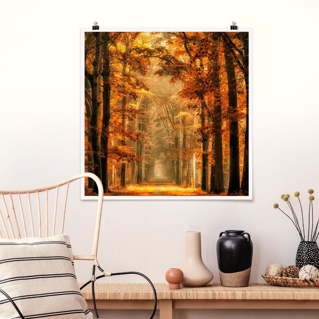 Poster Landschaft Märchenwald im Herbst