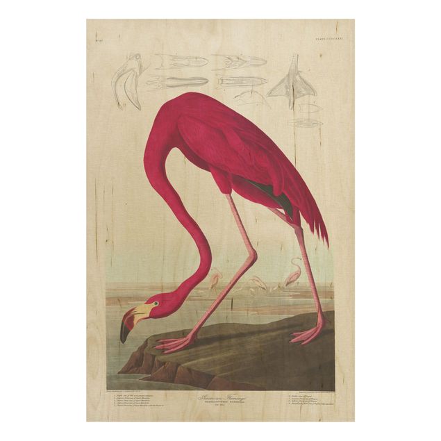 Wandbild Holz Vintage Vintage Lehrtafel Amerikanischer Flamingo