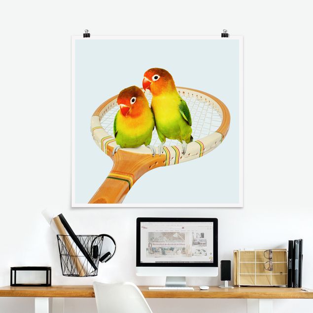 XXL Poster Tennis mit Vögeln