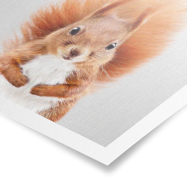 Poster kaufen Eichhörnchen Elisabeth