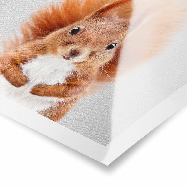 Poster - Eichhörnchen Elisabeth - Quadrat 1:1