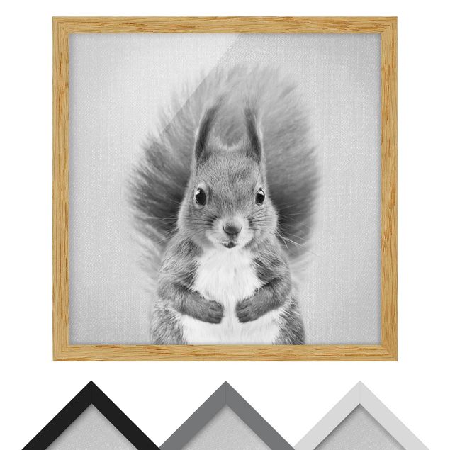 Bild mit Rahmen - Eichhörnchen Elisabeth Schwarz Weiß - Quadrat - 1:1