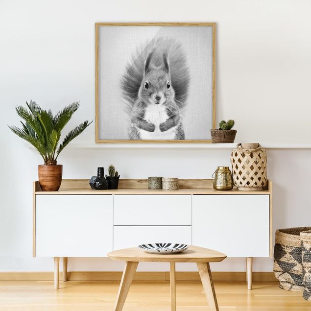 Bild mit Rahmen - Eichhörnchen Elisabeth Schwarz Weiß - Quadrat - 1:1 | Bilder