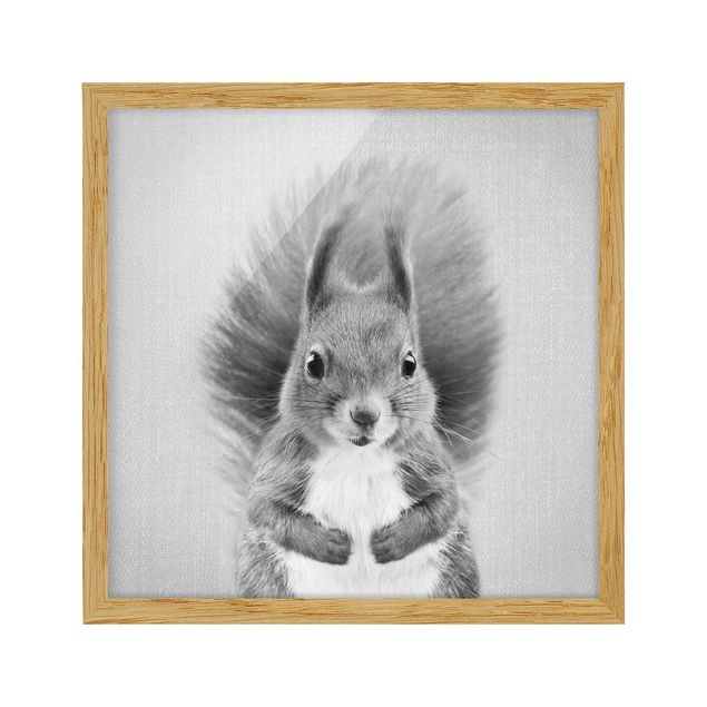 schöne Bilder Eichhörnchen Elisabeth Schwarz Weiß