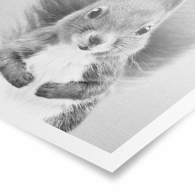 Poster Eichhörnchen Elisabeth Schwarz Weiß
