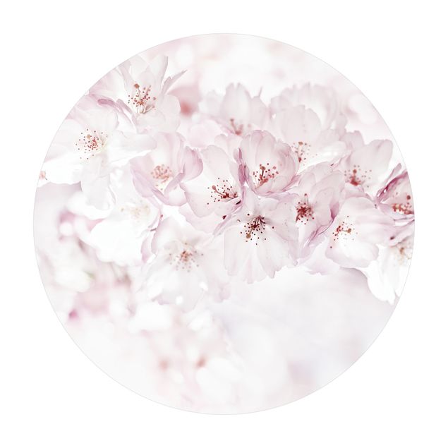 Teppich Landhausstil Ein Kirschblütenhauch