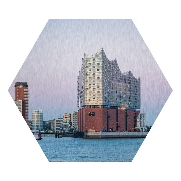 Hexagon Bild Alu-Dibond - Elbphilharmonie Hamburg