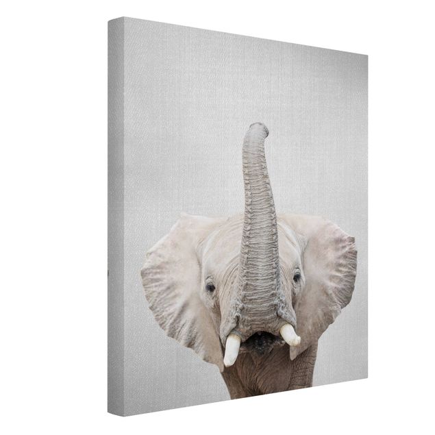 Leinwandbilder Elefant Ewald