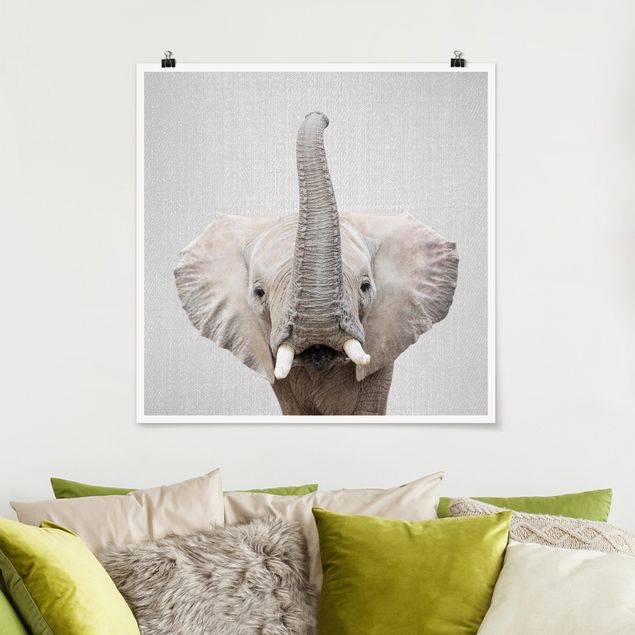 Poster Elefanten Elefant Ewald