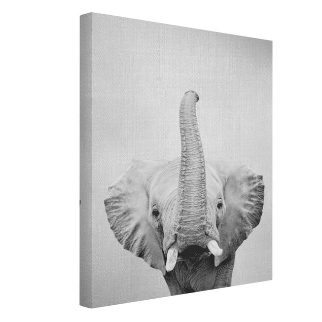 schöne Bilder Elefant Ewald Schwarz Weiß