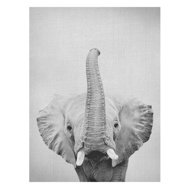 schöne Leinwandbilder Elefant Ewald Schwarz Weiß