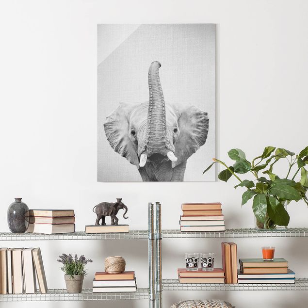 Glasbild schwarz-weiß Elefant Ewald Schwarz Weiß