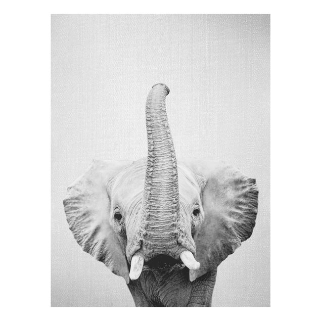 Glasbilder Elefant Ewald Schwarz Weiß