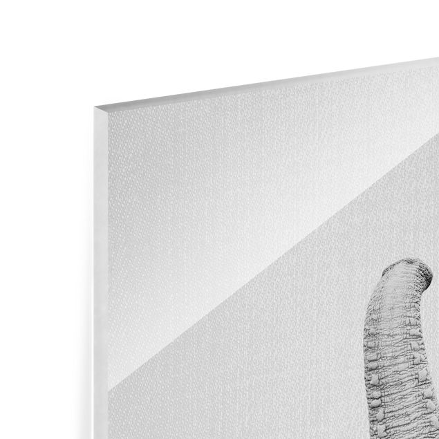 Glasbild - Elefant Ewald Schwarz Weiß - Hochformat