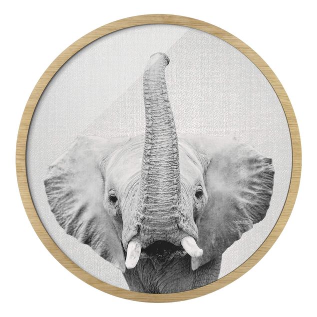 schöne Bilder Elefant Ewald Schwarz Weiß