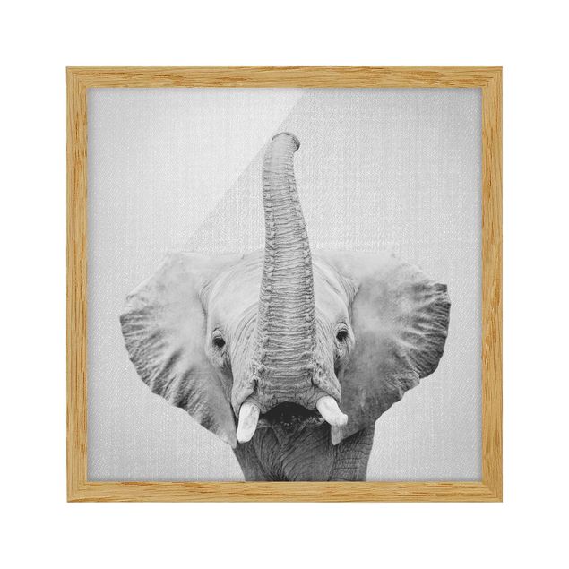 Wandbilder Elefant Ewald Schwarz Weiß
