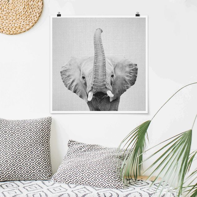 Poster Elefanten Elefant Ewald Schwarz Weiß