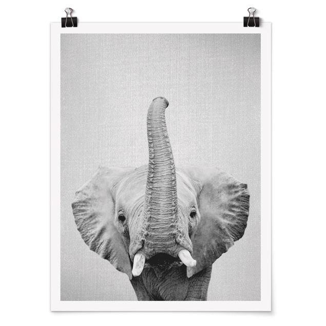Moderne Poster Elefant Ewald Schwarz Weiß