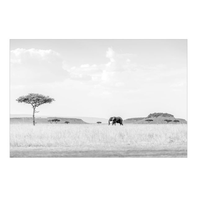 Fototapete - Elefant in weiter Savanne Schwarz-Weiß - Querformat