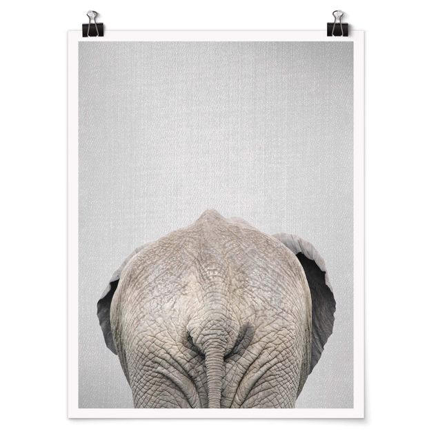Moderne Poster Elefant von hinten