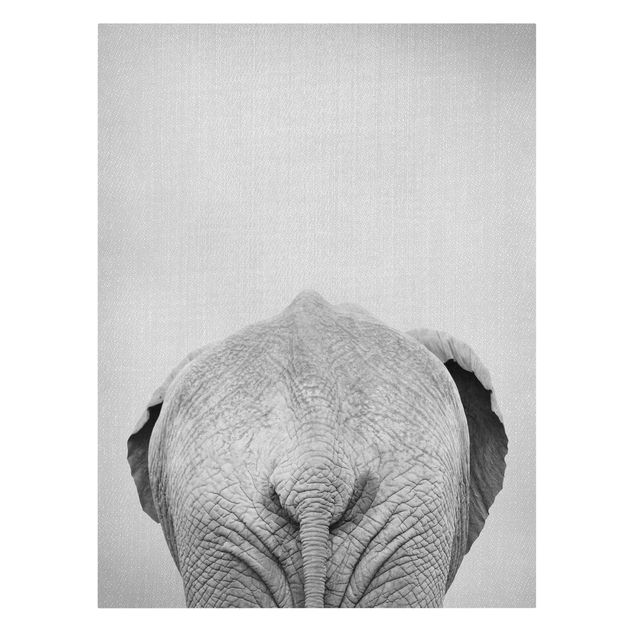 Leinwandbilder kaufen Elefant von hinten Schwarz Weiß
