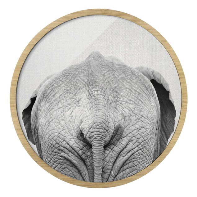 Bilder Elefant von hinten Schwarz Weiß