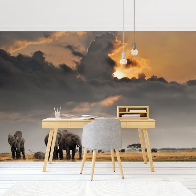 Fototapete - Elefanten der Savanne