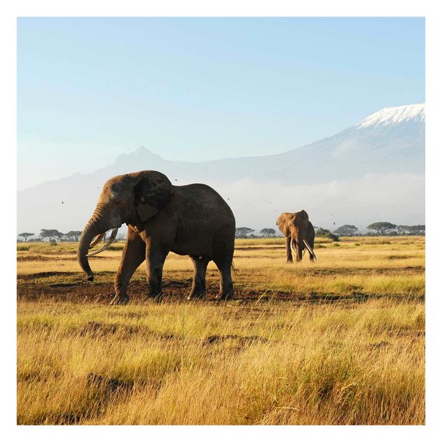 Fototapete - Elefanten vor dem Kilimanjaro in Kenya