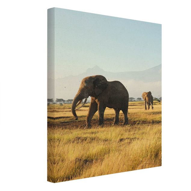 Leinwandbild Natur - Elefanten vor dem Kilimanjaro in Kenya - Hochformat 3:4