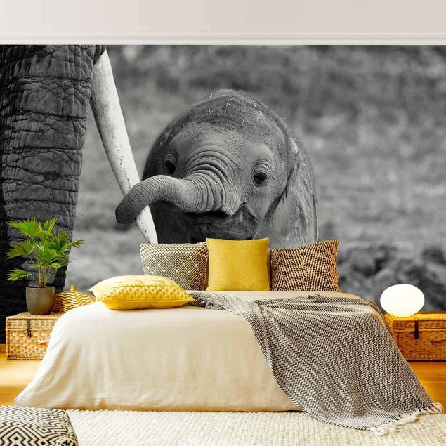 Fototapete - Elefantenbaby