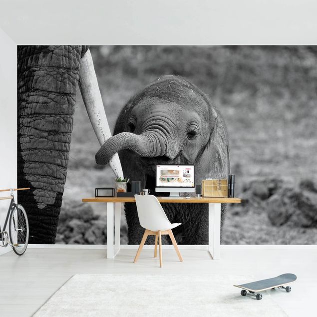 Fototapete - Elefantenbaby