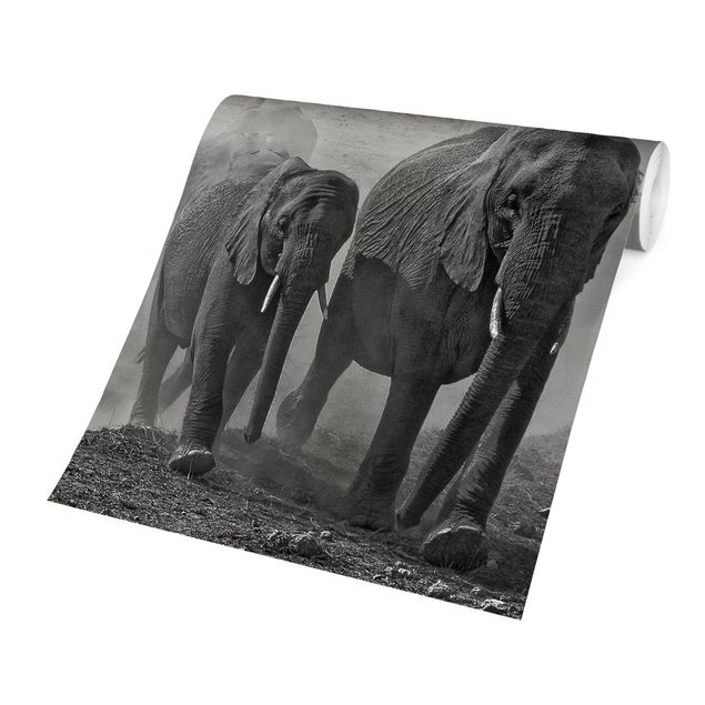 Fototapete - Elefantenherde