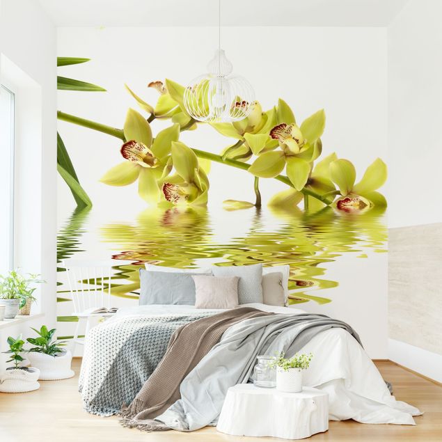 Fototapete Blumen Elegant Orchid Waters