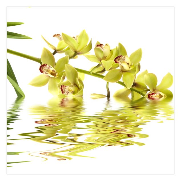 Tapete selbstklebend Elegant Orchid Waters