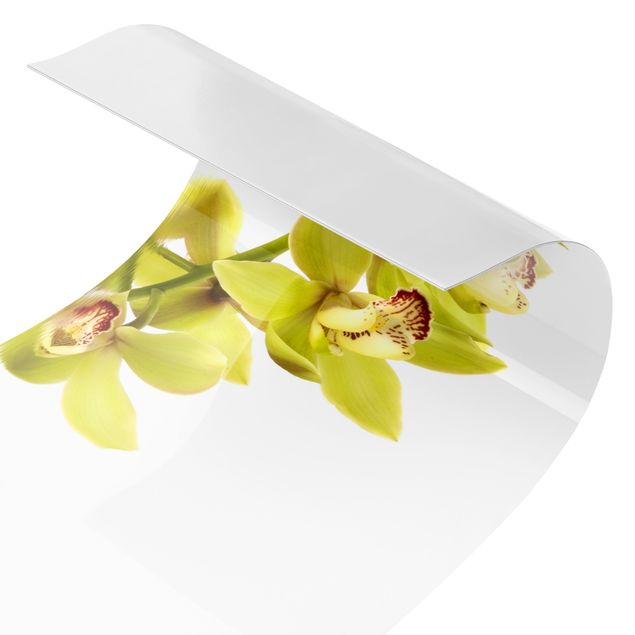 Spritzschutz Küche ohne bohren Elegant Orchid Waters