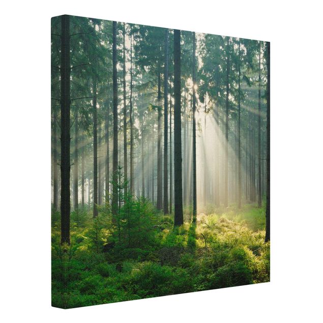 Leinwandbild - Enlightened Forest - Quadrat 1:1