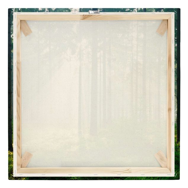 Leinwandbild - Enlightened Forest - Quadrat 1:1